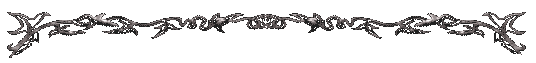 bartop33429.gif